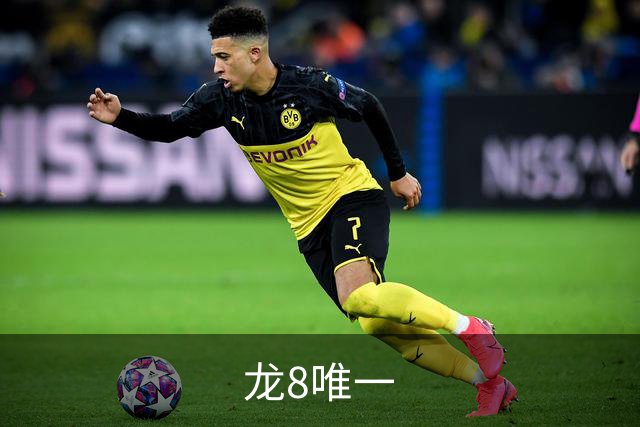 龙8唯一